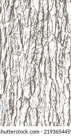 One color background with the texture of oak tree bark