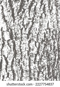 One color background with tree bark texture
