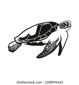 One color black turtle