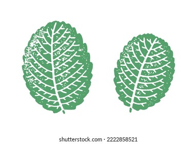 One color textured illustration of mint leaves