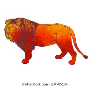 one colored lion drawing, standing figure isolated on white background