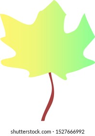one colorful maple leaf on a white background