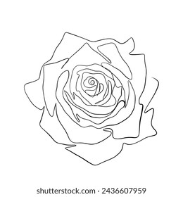 One continuous drawing line. Printed decorative poster with overall rose flower concept for wall home decor