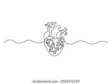One continuous line art anatomical human heart silhouette. Healthy medicine concept design one sketch outline drawing vector illustration