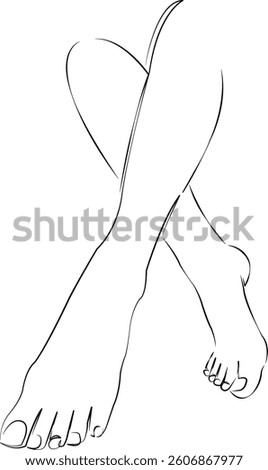 One continuous line art drawing flat illustration woman, beauty, smooth, leg, person, adult, slim, human leg. Isolated image hand draw outline on white background