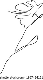 one continuous line art of rose flower vector