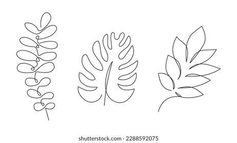 One continuous line art tropic tree leaves. Isolated, vector