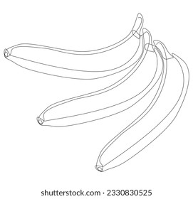 Una línea continua de Banana. Concepto vectorial de ilustración de frutas tropicales de línea delgada. Contour Drawing Ideas Creativas.