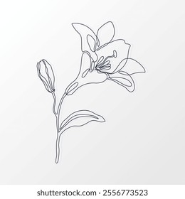 One Continuous Line of a Beautiful Lily Flower with Leaves. Hand drawn spring herbs and plants. Abstract floral sketch in one continuous line drawing. Perfect as a logo, tattoo, greeting cards