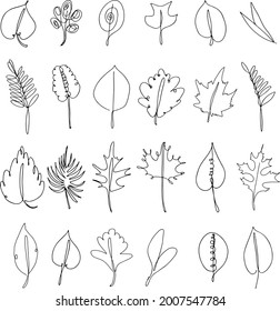 One continuous line drawing of an abstract autumn leaf. maple, ash, poplar, willow. Minimal botany natural ecological concept. Home wall decor poster, tote bag, fabric print. One line draw design grap