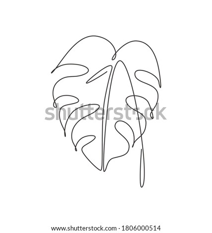 One continuous line drawing abstract tropical monstera leaf. Minimal natural botany eco concept. Home wall decor, poster, tote bag, fabric print. Single line draw design graphic vector illustration