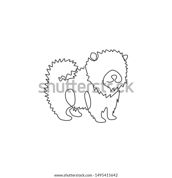 Lovely How To Draw A Pomeranian Dog - hd wallpaper