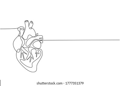 One Continuous Line Drawing Of Anatomical Human Heart Organ. Medical Internal Anatomy Concept. Modern Single Line Draw Trendy Design Vector Illustration