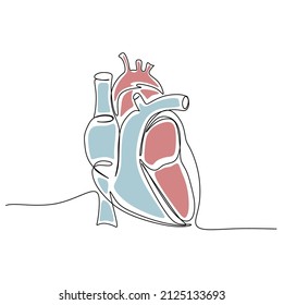 One Continuous Line Drawing Of Anatomical Human Heart Organ. Medical Internal Anatomy Concept. With Colors.