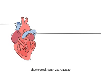 One continuous line drawing of anatomical human heart organ. Medical internal anatomy concept. Modern single line draw trendy design vector illustration