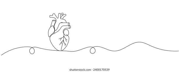 One continuous line drawing of anatomical human heart organ. Medical internal anatomy concept. Modern single line draw trendy design vector illustration