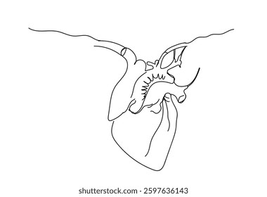 One continuous line drawing of anatomical human heart organ. Medical internal anatomy concept. Modern single line draw trendy design vector illustration. Hand made vector not Al