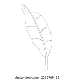 One continuous line drawing of banana leaf icon. Banana leaves line art. Abstract line art decorative concept of banana leaves. Single line drawing of banana leaves vector illustration. Tropical conce