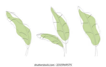 One continuous line drawing of banana leaf icon collection. Set of banana leaves line art. Abstract line art decorative concept of banana leaves pack. Single line drawing of banana leaves vector illus