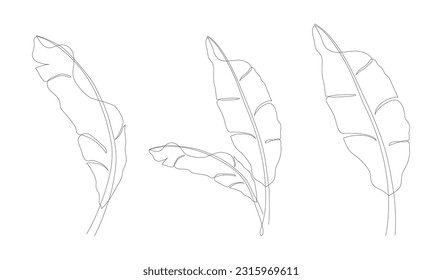 One continuous line drawing of banana leaf icon collection. Set of banana leaves line art. Abstract line art decorative concept of banana leaves pack. Single line drawing of banana leaves vector illus