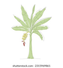 Un dibujo continuo de un árbol bananero. Dibujo artístico de la línea de árboles plátanos. Concepto tropical de ilustración vectorial de árboles plátanos. Icono de árbol de plátano en un plano de línea. Ilustración del vector