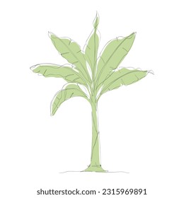 One continuous line drawing of banana tree. Banana tree line art drawing. Tropical concept of banana tree vector illustration. Banana tree icon in one line drawing. Vector illustration