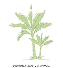 One continuous line drawing of banana tree. Banana tree line art drawing. Tropical concept of banana tree vector illustration. Banana tree icon in one line drawing. Vector illustration