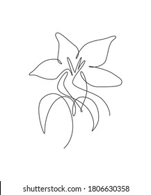 One continuous line drawing beautiful abstract orchid flower. Minimal fresh beauty natural concept. Home wall decor, poster, tote bag, fabric print. Single line draw design graphic vector illustration