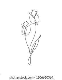 One continuous line drawing beautiful abstract tulip flower. Minimal fresh beauty natural concept. Home wall decor, poster, tote bag, fabric print. Single line draw design graphic vector illustration