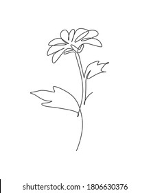 One continuous line drawing beautiful abstract sun flower. Minimal fresh beauty natural concept. Home wall decor, poster, tote bag, fabric print. Single line draw design graphic vector illustration