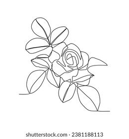 One continuous line drawing of a beautiful flower. A rose in simple linear style vector illustration. design with Minimalist black linear design isolated concept. Plant vector  design illustration