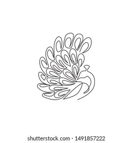 One continuous line drawing of beauty adorable peacock for company logo identity. Big pretty bird mascot concept for national zoo icon. Modern single line draw design vector illustration graphic