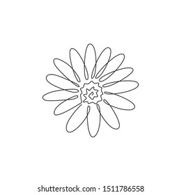 One continuous line drawing of beauty fresh bellis perennis. Printable decorative poster common daisy flower concept for wall home decor. Modern single line draw design vector graphic illustration