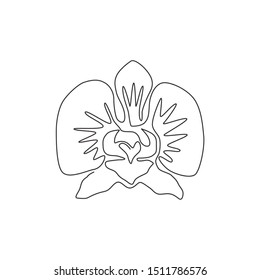 One continuous line drawing of beauty fresh orchid for home wall decor art. Printable decorative poster orchidaceae flower concept for park icon. Modern single line draw design vector illustration