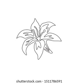 One continuous line drawing of beauty fresh perennials lilium for garden logo. Printable decorative true lilies flower for home wall decor poster. Modern single line draw design vector illustration