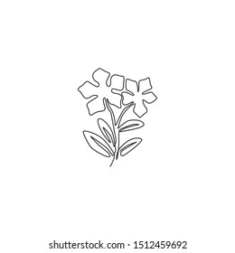 One continuous line drawing beauty fresh catharanthus for wall art home decor poster. Printable decorative periwinkle flower concept for park icon. Modern single line draw design vector illustration