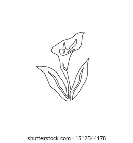 One continuous line drawing of beauty fresh arum lily for garden logo. Printable decorative zantedeschia flower concept for home wall decor poster. Modern single line draw design vector illustration