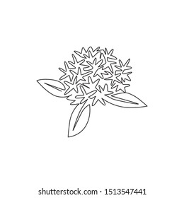 One continuous line drawing beauty fresh flowering plant for garden logo. Printable decorative ixora flower concept for home decor wall art poster. Modern single line draw design vector illustration