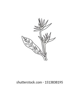 One continuous line drawing beauty fresh strelitzia for home art wall decor poster print. Decorative bird of paradise flower concept for green park. Modern single line draw design vector illustration