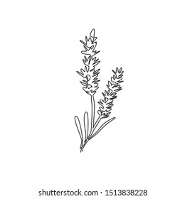 One continuous line drawing beauty fresh lavandula for home wall decor art poster print. Printable decorative lavender flower concept for green park. Modern single line draw design vector illustration