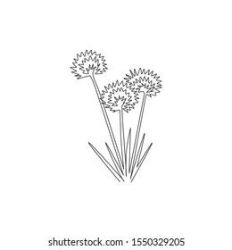 One continuous line drawing beauty fresh allium tuberosum for home wall decor poster art print. Decorative oriental garlic chives flower for greeting card. Single line draw design vector illustration