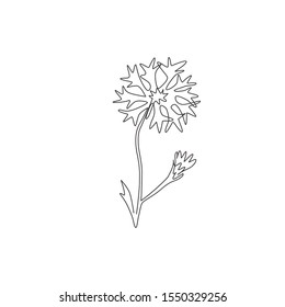 One continuous line drawing of beauty fresh centaurea cyanus for home decor wall art poster print. Decorative cornflower concept for invitation card. Trendy single line draw design vector illustration