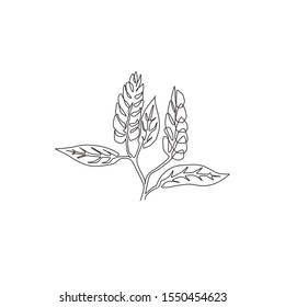 Un dibujo de línea continua de belleza fresco de camarón dorado para el logo del jardín. Concepto decorativo de flor de planta lollipop para la tarjeta de invitación a la boda.Diseño moderno de dibujo de línea única ilustración vectorial