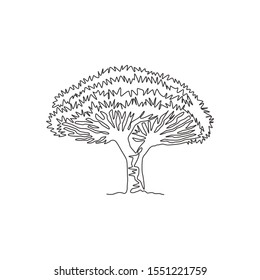 One continuous line drawing of beauty and exotic socotra dragon tree. Decorative dragon blood tree concept for travel and tourism campaign. Trendy single line draw design vector graphic illustration