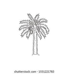 One continuous line drawing of beauty and exotic date palm tree. Decorative phoenix dactylifera plant concept for plantation company. Trendy single line draw design vector graphic illustration