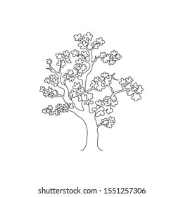 One continuous line drawing of beauty cherry blossom tree for home art wall decor poster print. Decorative sakura plant for national park logo. Travel tour. Single line draw design vector illustration
