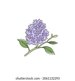 One continuous line drawing beauty fresh syringa vulgaris for home decor wall art poster print. Printable decorative lilac flower for card ornament. Modern single line draw design vector illustration