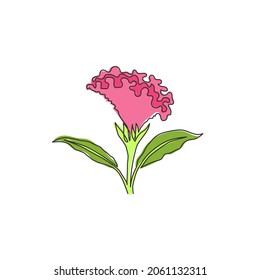 Una línea continua de dibujo de la belleza celosia fresca del cerebro para la decoración del hogar estampado de arte de la pared. Flor decorativa de gallo para el parque verde. Ilustración vectorial de diseño de trazos de línea única moderna