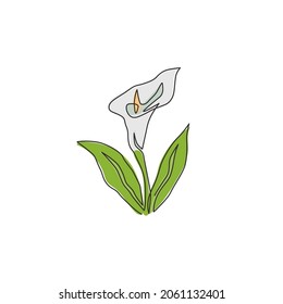 Eine durchgehende Zeichnung der Schönheit frische Arallilie für das Gartenlogo. Printbares Zantedeschia Blumenkonzept für hausgemachtes Plakat. Modernes, einzeiliges Zeichendesign, Vektorgrafik