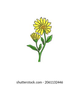 One continuous line drawing of beauty fresh calendula for garden logo. Printable decorative marigold flower concept for home wall decor poster art. Modern single line draw design vector illustration